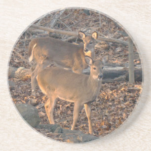 Porta-copos De Arenito Young Whitetail Deer Series