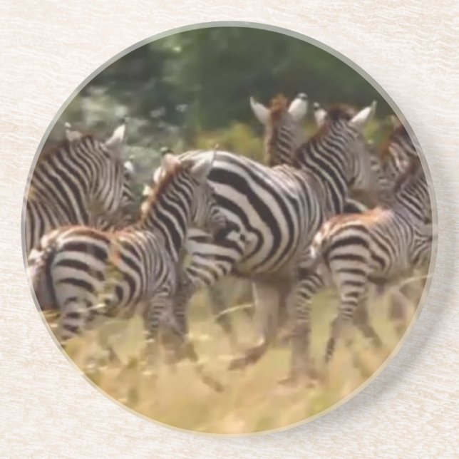 Porta-copos De Arenito Zebras em Movimento: Uma Viagem de Mil Milhas (Frente)