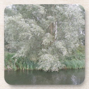 Porta copos de Árvore Branca e Paisagem Fluvial