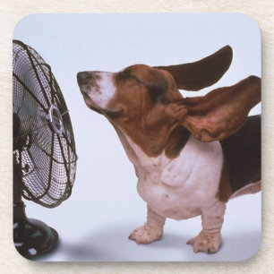 Porta copos de Basset Hound