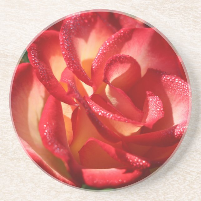 Porta copos de bebida de arenito (Frente)