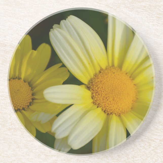 Porta copos de bebida de arenito (Frente)