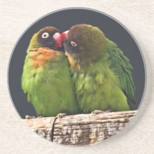 Porta copos de Beijo de Lovebird