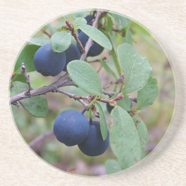 Porta copos de Berries selvagens (Frente)