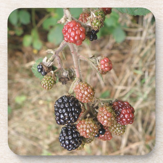 Porta copos de Bonanza Cork Blackberry (Frente)