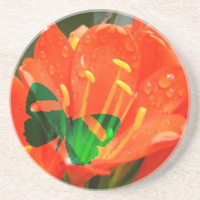 porta copos de borboletas de água laranja (Frente)