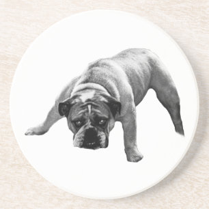 Porta copos de Bulldog