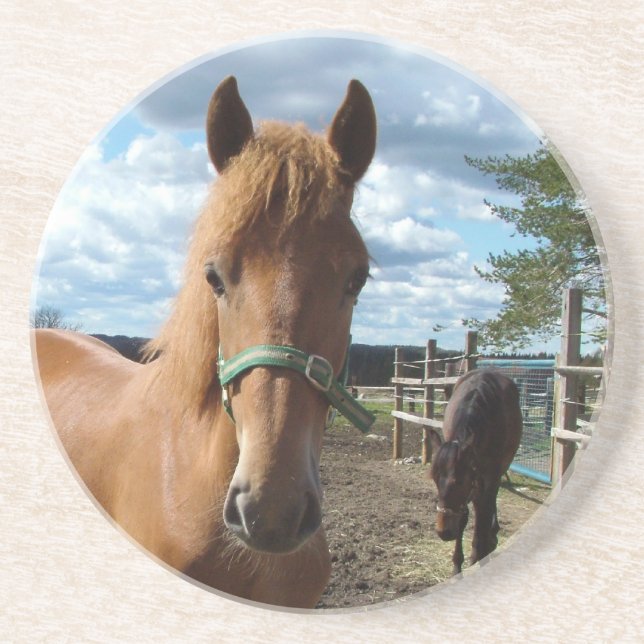 Porta copos de cavalos (Frente)