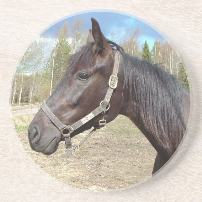 Porta copos de cavalos (Frente)