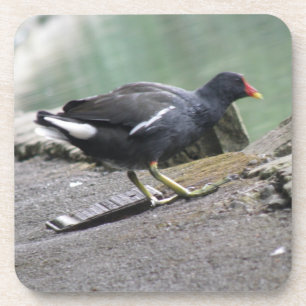 Porta copos de Cork Moorhen