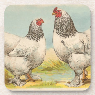 Porta copos de Cork Vintage "Light Brahama Chicken