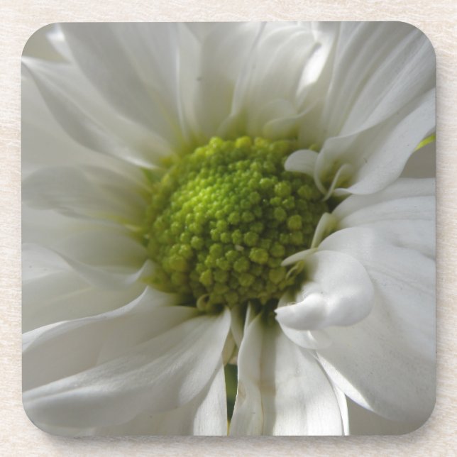 Porta copos de Cork White Chrysanthemum (Frente)