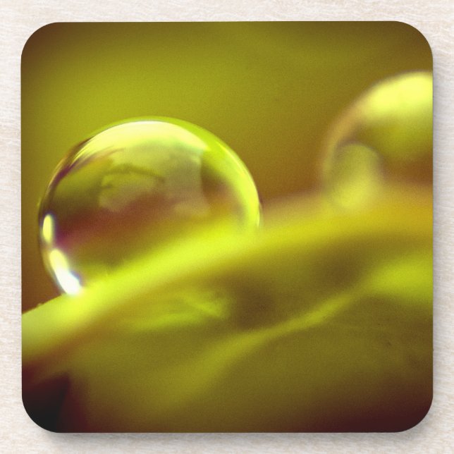 Porta copos de Cortiça de Água (Frente)