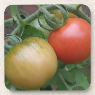 Porta copos de Cortiça de Laranja e Tomate Vermel