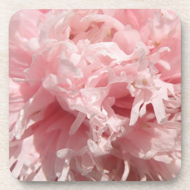 Porta copos de Cortiça Rosa-Rosa bonito (Frente)