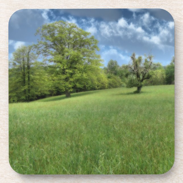 Porta copos de Cortiça Verde Appalachian (Frente)