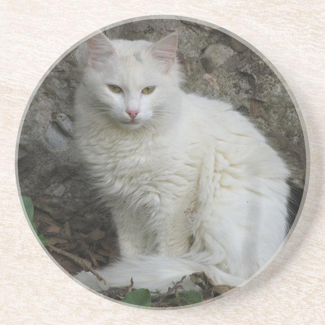 Porta copos de Gato Branco (Frente)