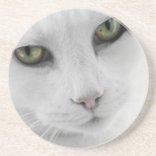 Porta copos de Gato Branco