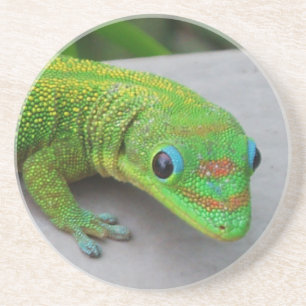 Porta copos de Gecko no Dia da Pó Dourada