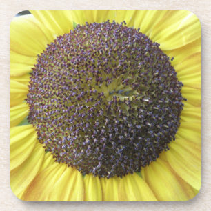 Porta copos de girassol amarelo
