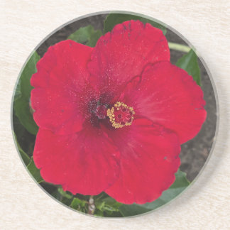 Porta copos de Hibiscus