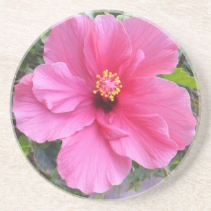 Porta copos de Hibiscus Rosa