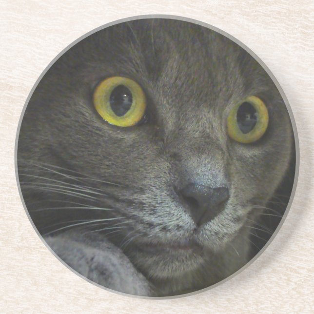 Porta copos de intensidade (Frente)