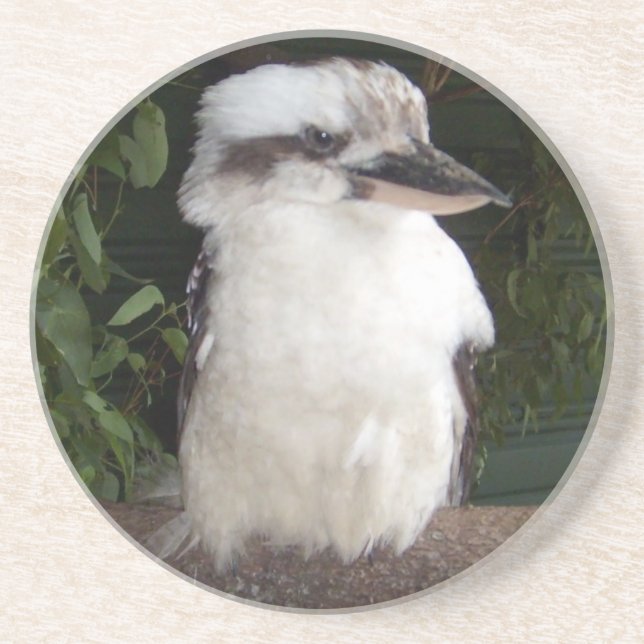 Porta copos de Kookaburra (Frente)