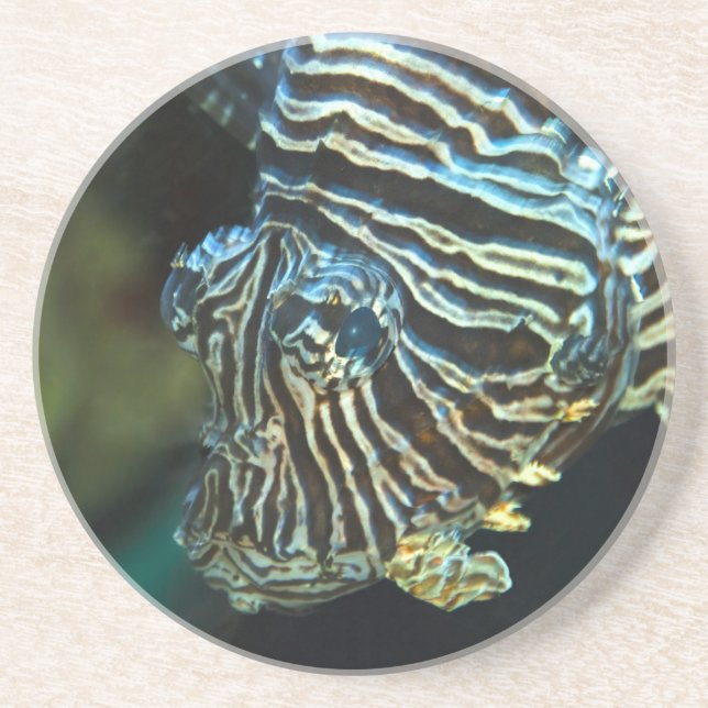 Porta copos de lionfish (Frente)