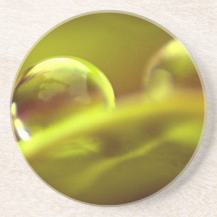 Porta copos de Lixo de Água