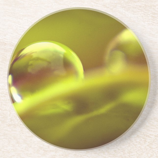 Porta copos de Lixo de Água (Frente)