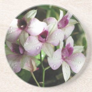 Porta copos de orquídeas