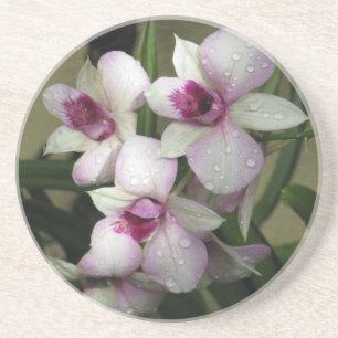 Porta copos de orquídeas