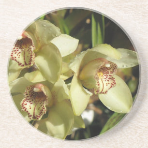 Porta copos de Orquídeas de Cymbidium