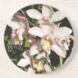 Porta copos de Orquídeas de Cymbidium