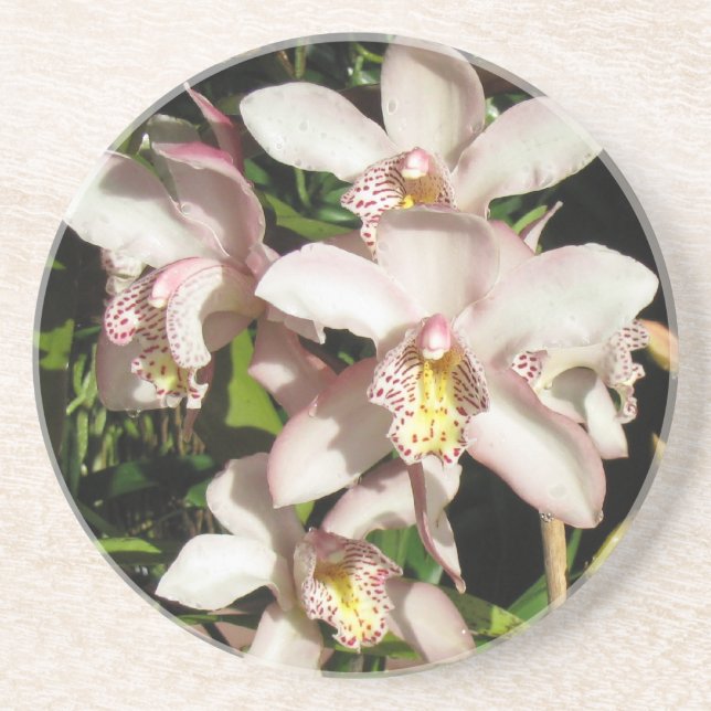 Porta copos de Orquídeas de Cymbidium (Frente)