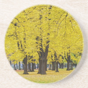 Porta copos de outono