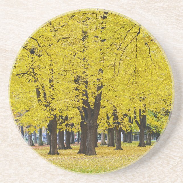 Porta copos de outono (Frente)