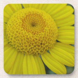 porta copos de papel quadrado bonito marguerite am