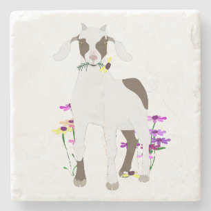 Porta copos de Pedra