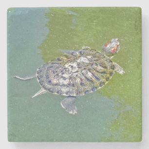 PORTA COPOS de pedra