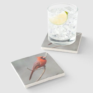 Porta copos de pedra cardinal