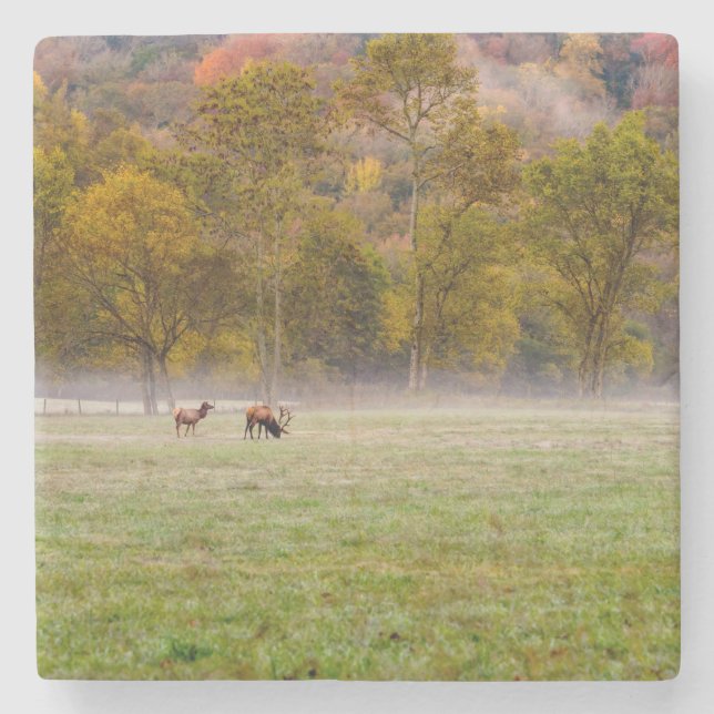 Porta copos de pedra Casal de barbear (Frente)