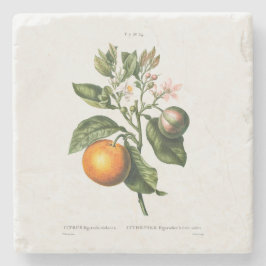 PORTA COPOS DE PEDRA COM REDOUTÉ "LARANJA DE MADEI