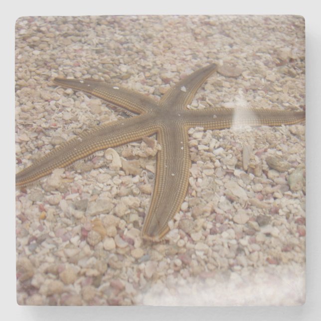 Porta copos de Pedra de Starfish (Frente)