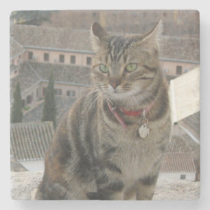 Porta copos de Pedra do Marble de Foto Cat