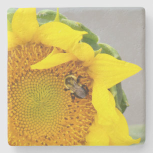Porta copos de Pedra Sunflower