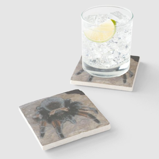 Porta copos de Pedra Tarantula (Lateral)