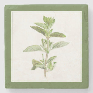Porta copos de pedra (-text) FRESH OREGANO Marble