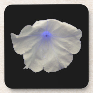 Porta copos de Petunia Blue Glow Cork